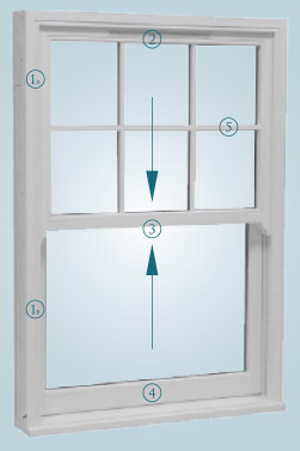 Vertical Sliding Sash and Case